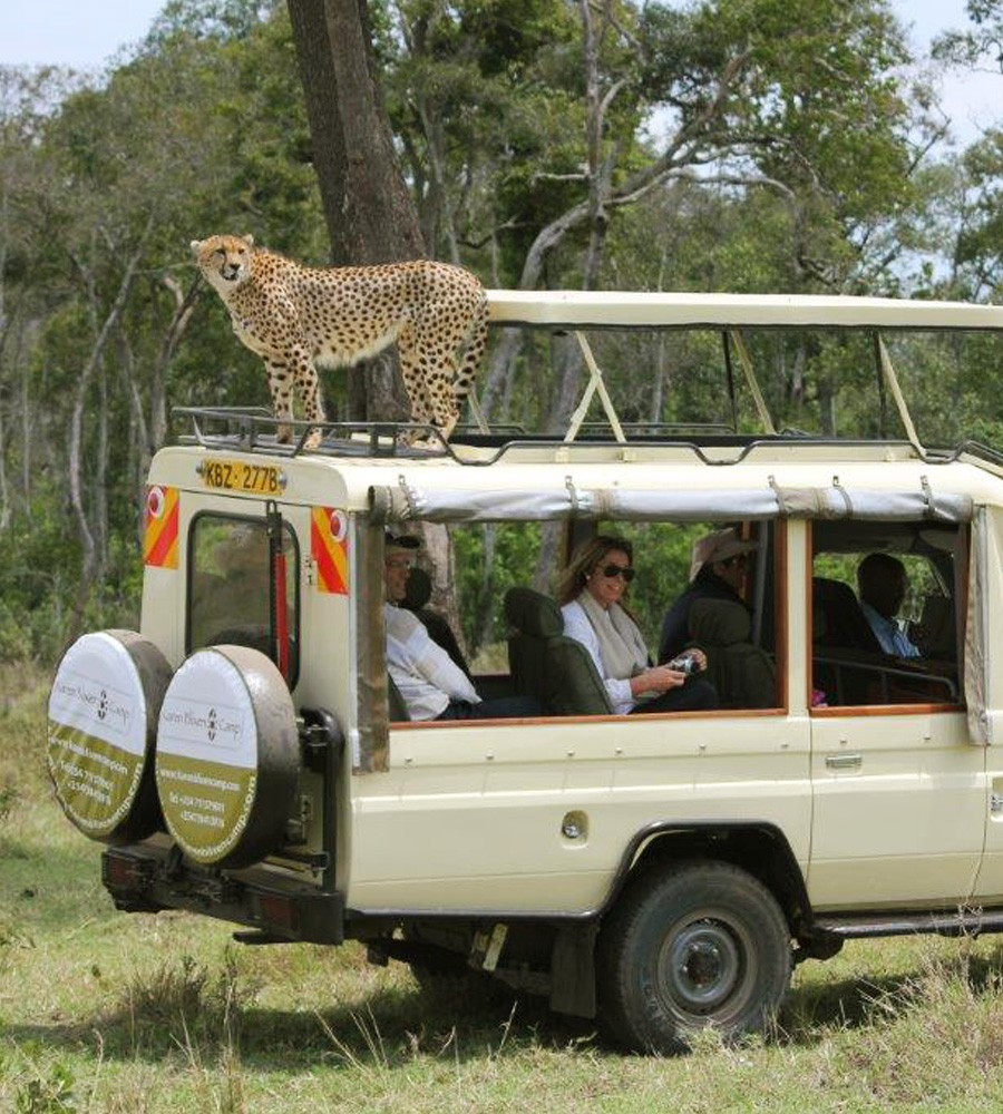 In the Wild Safari, 4 Days Road Package