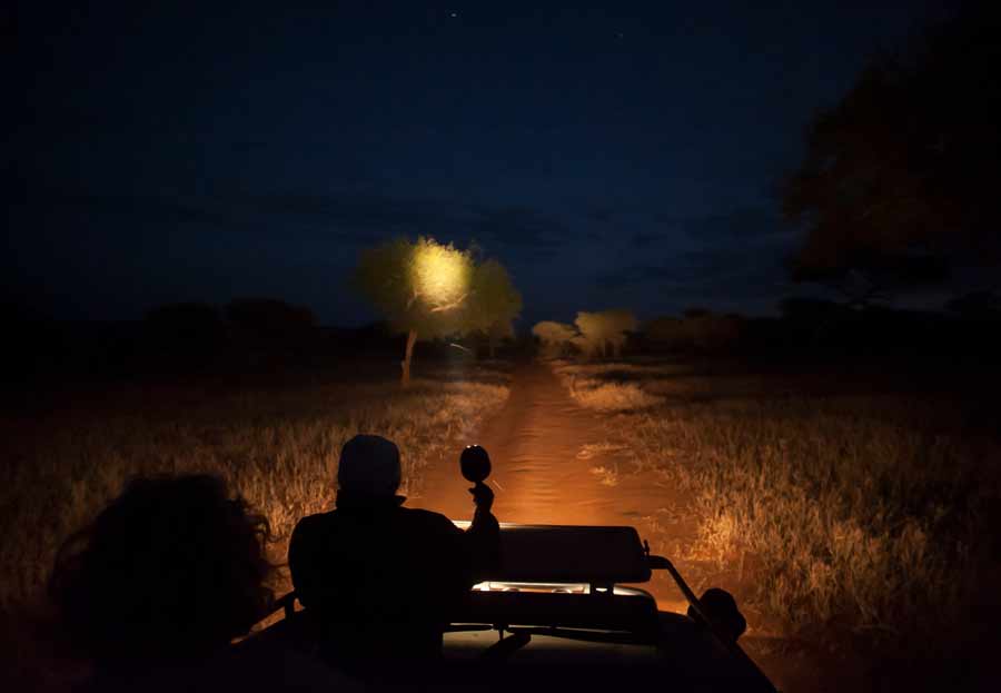 night drives - Karen Blixen Camp, mara North Conservancy, Masai Mara