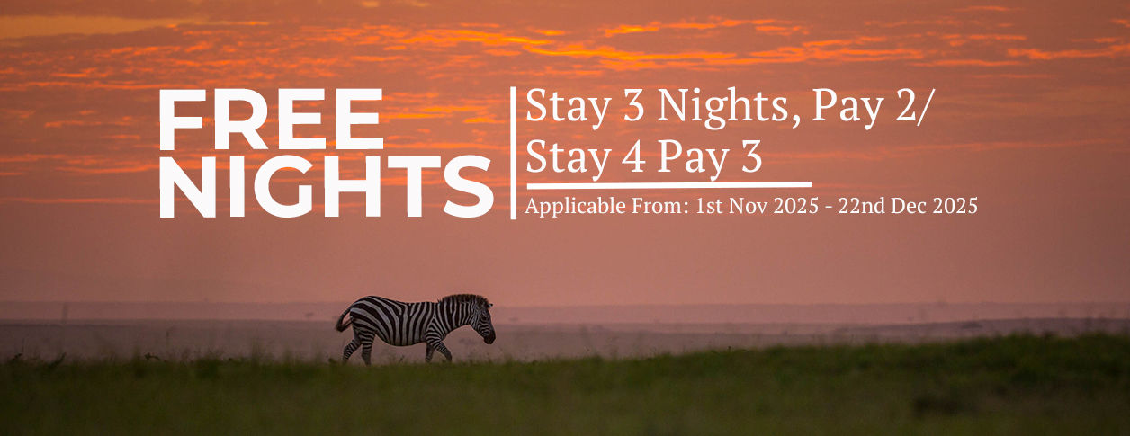 Free nights