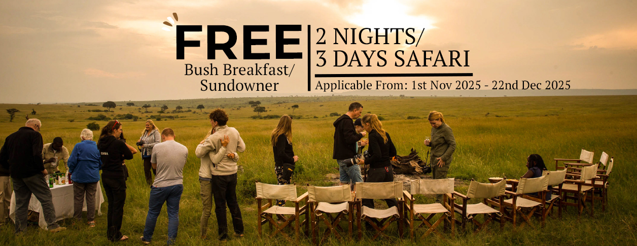 2NIGHTS 3 DAYS black