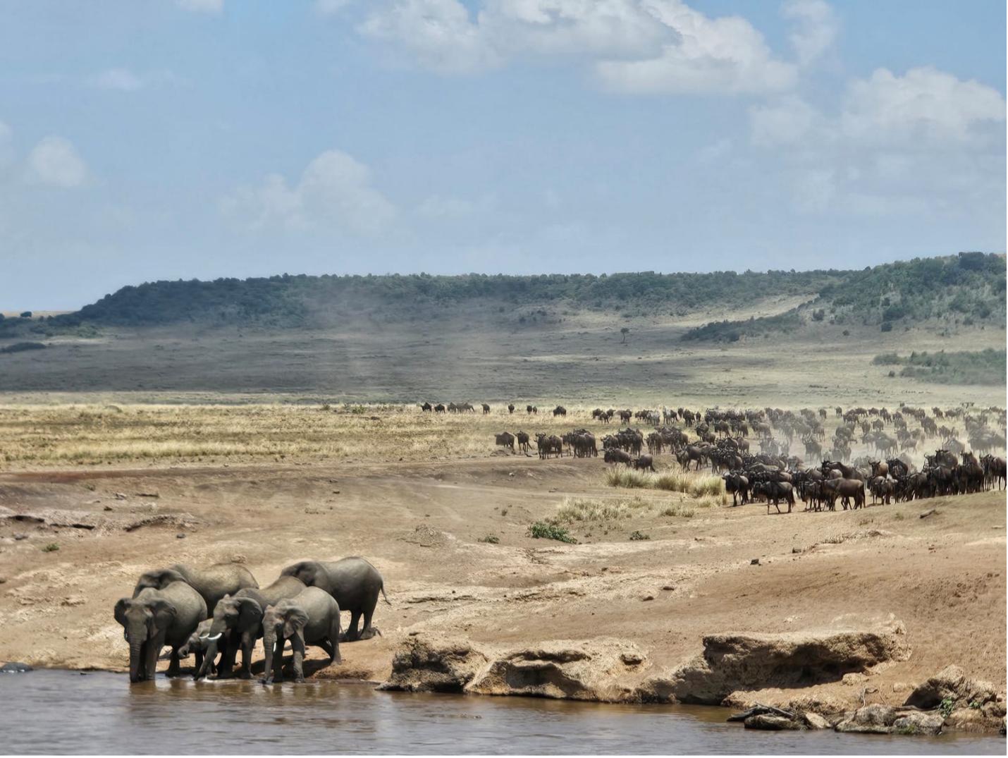 MORE THAN A GAME: BRINGING THE MARA COMMUNITY TOGETHER THROUGH FOOTBALL